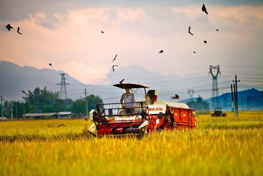 新农业模式，有望替代原有的传统模式，在未来改变中国农业。