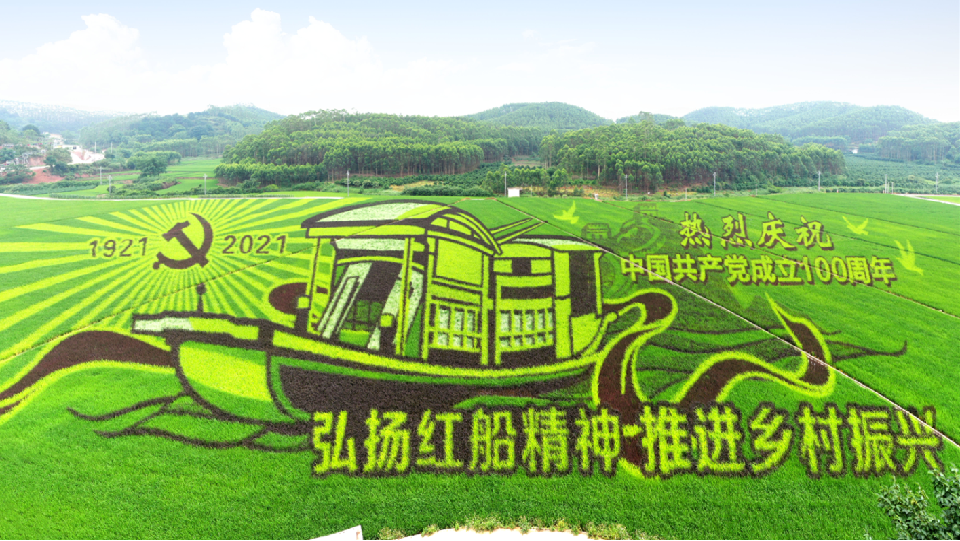 古辣镇大陆村：巨幅“稻田画”为庆祝党的百年华诞增辉